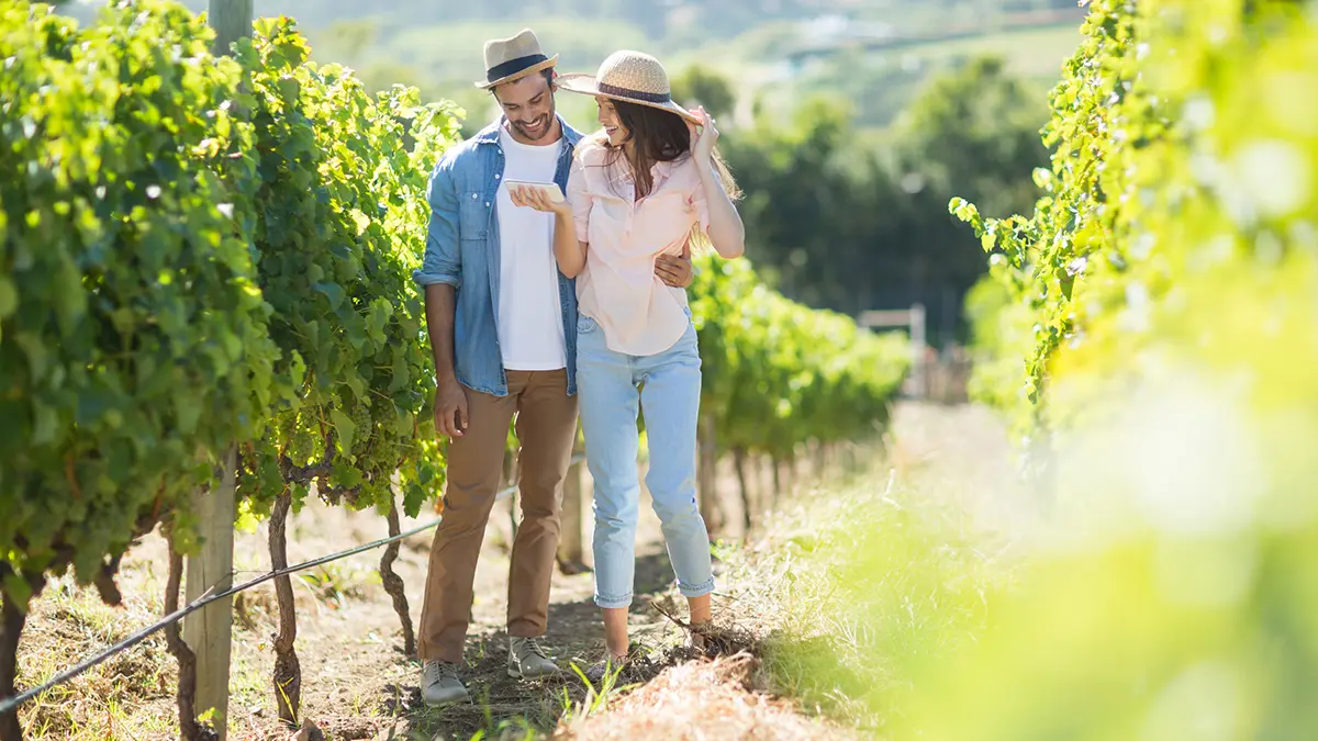 Turismo eco-friendly: alla scoperta delle cantine biologiche