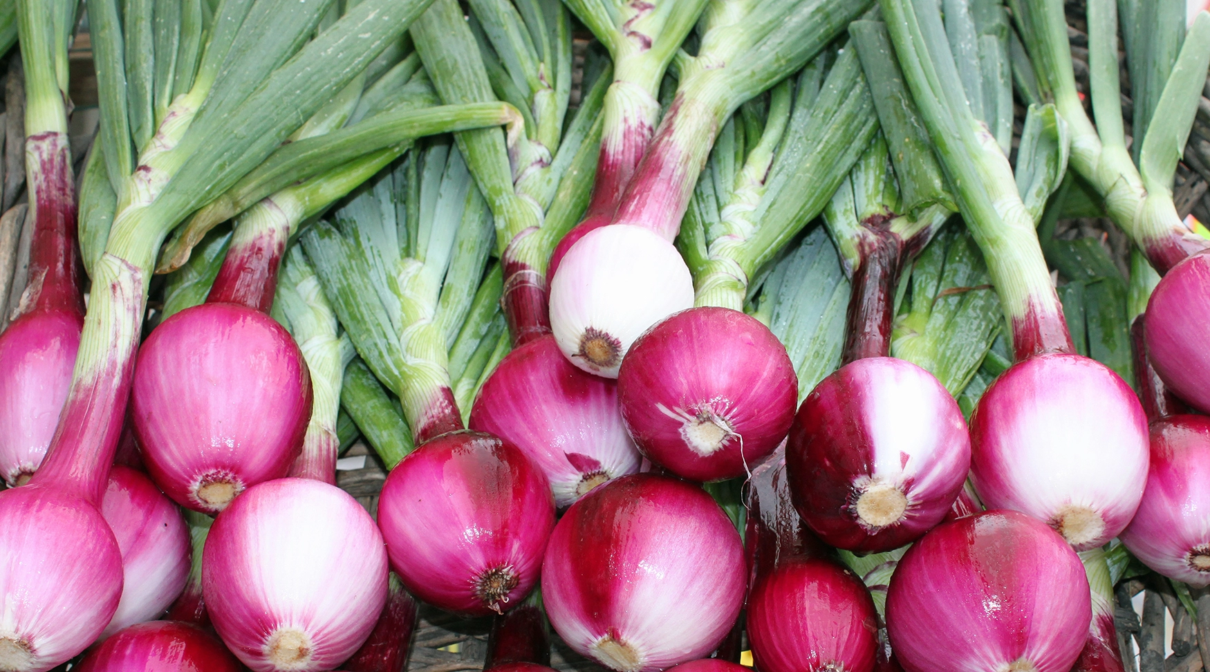 Frittino di cipolla rossa in farina di ceci 