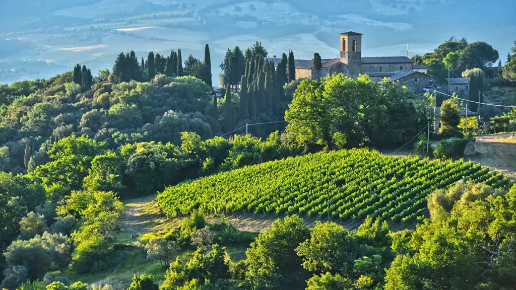 Vigneti di Montalcino