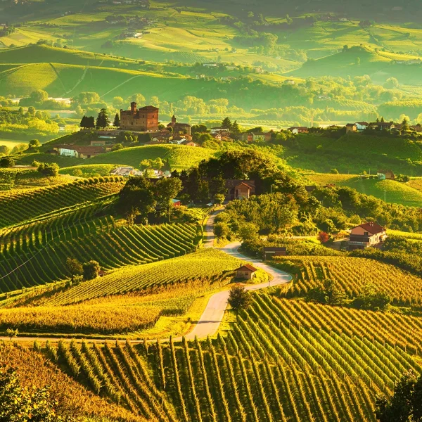 Paesaggio delle Langhe con colline e vigneti patrimonio UNESCO