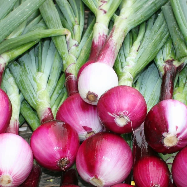 Frittino di cipolla rossa in farina di ceci croccante e speziato